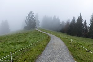 Doch zuerst startet der Wanderweg am Hündle mit Nebel.