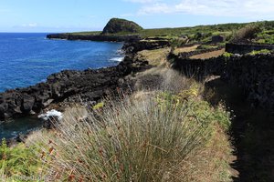 Wanderung entlang der Ponta da Ilha auf Pico