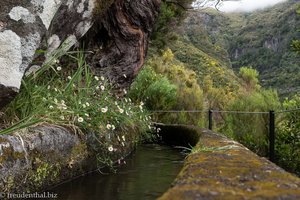 auf dem Rückweg entlang der Levada da 25 Fontes