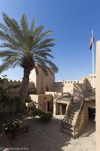 Dattelpalme im Innenhof des Taqah Castle im Oman