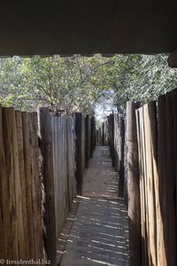 sicherer Gang beim Rathlogo Hide in Pilanesberg