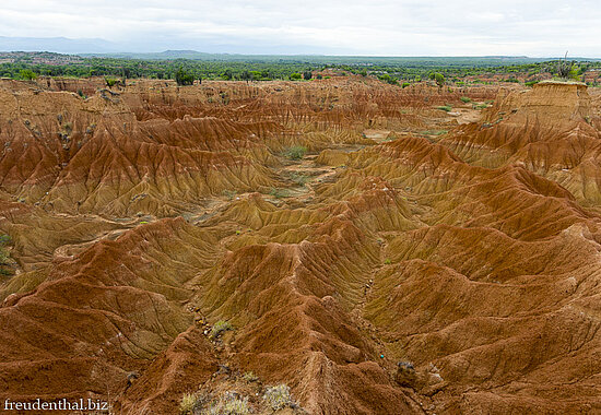 Karstlandschaft der Tatacoa-Wüste