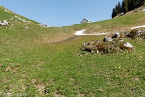 Alp Ober Furgglen