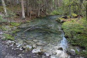 so sehen Quellen beim Maligne Canyon aus