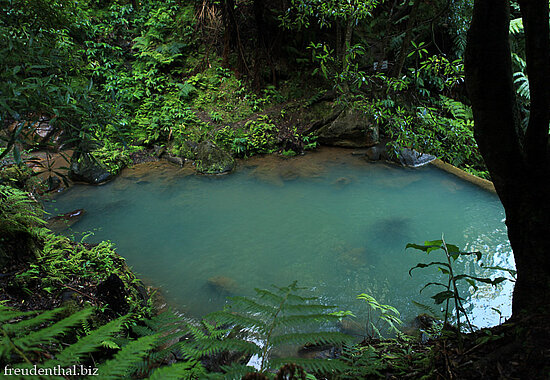 Badebecken der Caldeira Velha