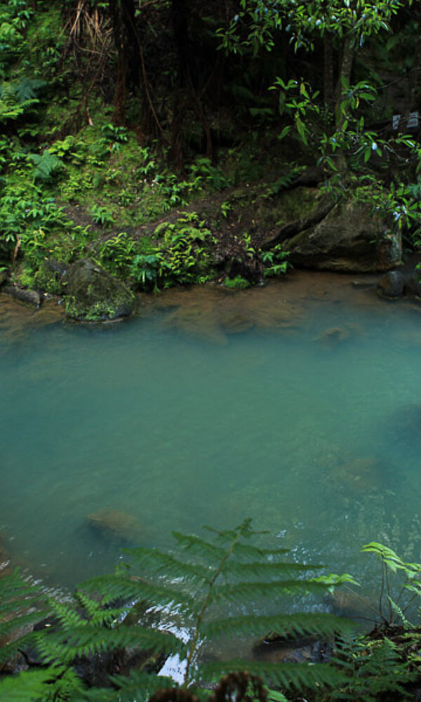 Naturschwimmbecken in der Caldeira Velha