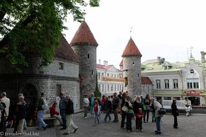 Lehmpforte von Tallinn - Viru