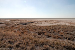 Blick über die Etosha-Salzpfanne