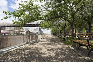 Uferpromenade entlang des East River auf Roosevelt Island