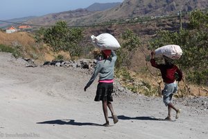 auch die Kinder helfen bei der Ernte