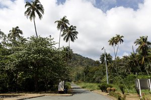 Verbindung von der Queen´s Bay zur Windward Road