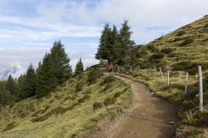 Über den Almenweg zur Stafell Hütte