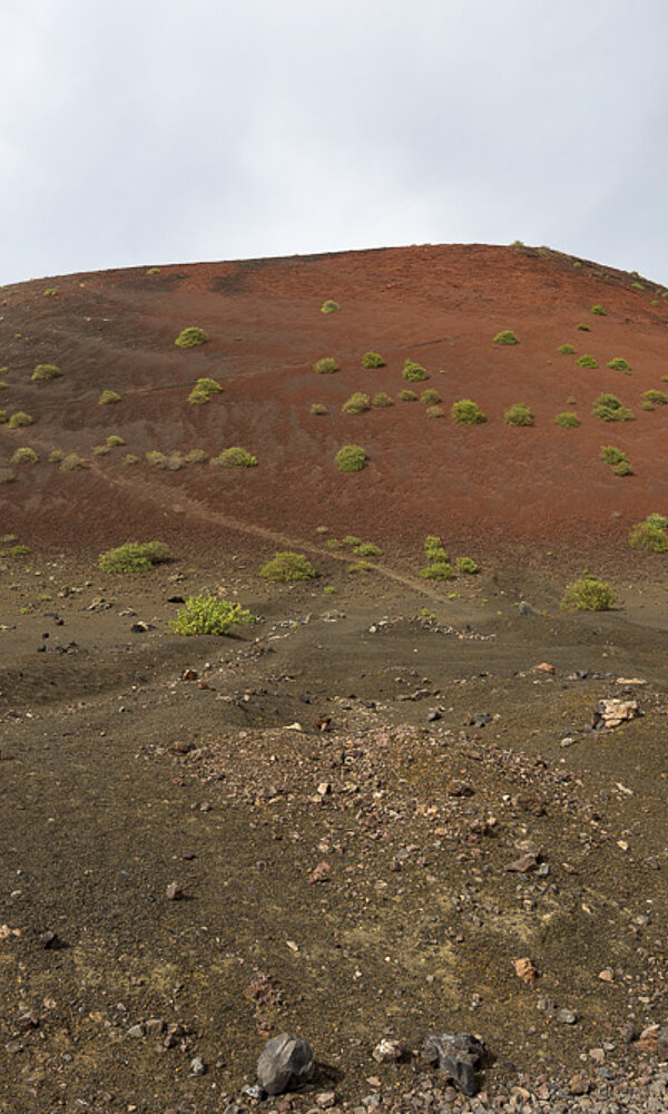 Die Caldera der Montaña Colorada zeigt Farbe