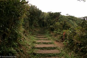 windgeschützter Weg zur Aussichtsplattform