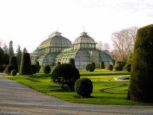 Das Palmenhaus von Schönbrunn