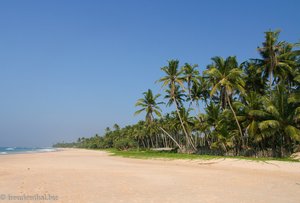 Palmen, Strand und Indik
