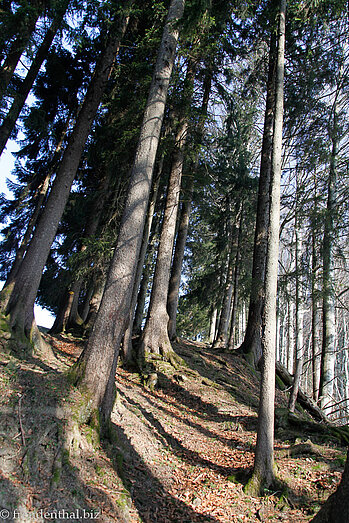 Wanderung von Rämel nach Egg