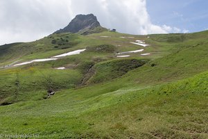Blick vom Fellhorn zum Kanzelwand-Gipfel bzw. Warmatsgundkopf