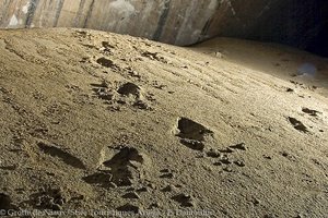 Ablagerungen auf dem Höhlenboden der Grotte de Niaux