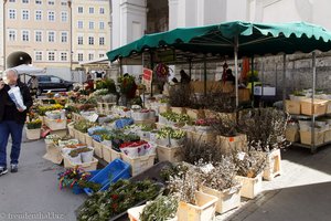 Blumen auf dem Grünmarkt Salzburg