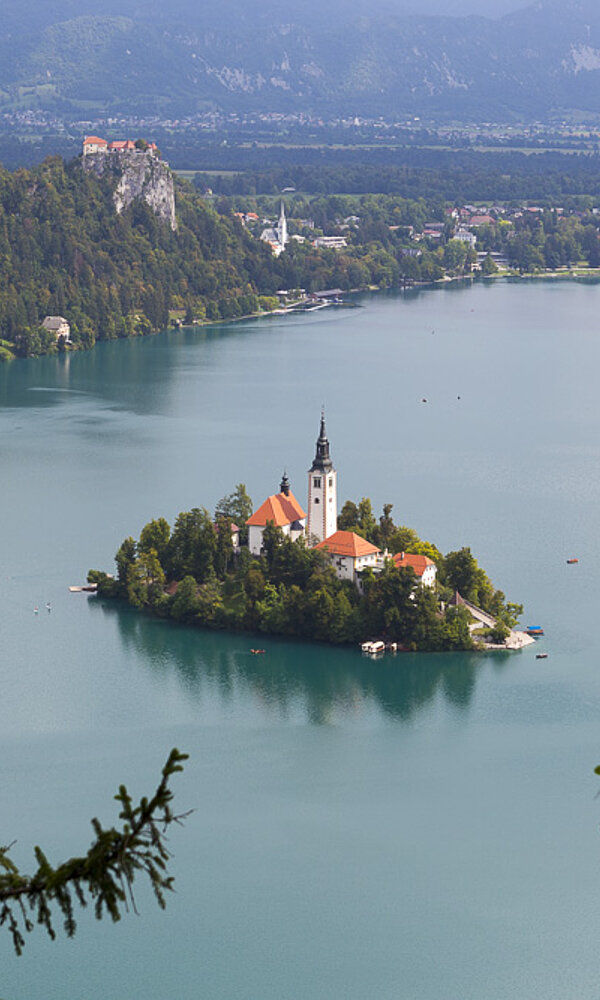 Das Inselchen Blejski Otok auf dem Bleder See