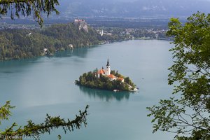 Das Inselchen Blejski Otok auf dem Bleder See