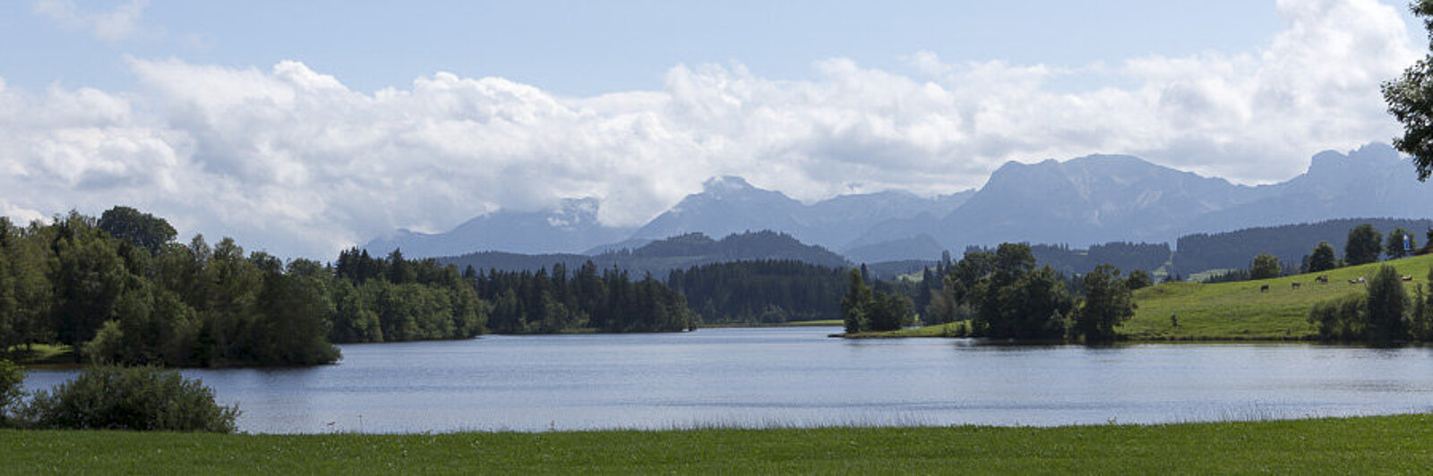 Aussicht über den Schwaltenweiher im Allgäu zu den Ammergauen Alpen