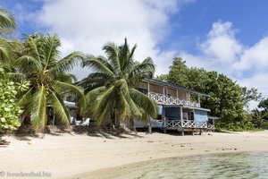 Palmen am Crown Beach auf Mahé