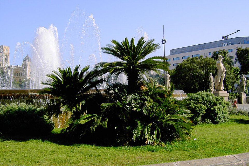 Grünflächen auf der Plaça de Catalunya in Barcelona