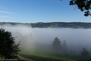 der Große Alpsee im Nebel
