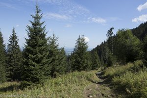 Wanderweg zum Alpspitz bei Nesselwang