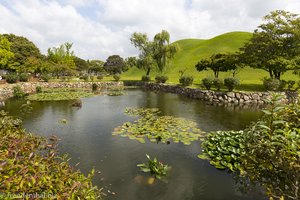 Lotusteich hinter dem Hwangnam Daechong