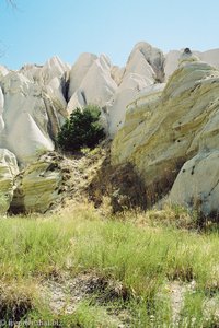 Tuffsteinkegel im Taubental von Kappadokienl