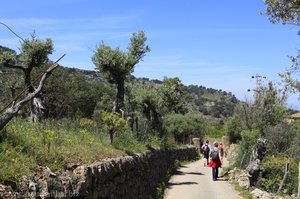 Wanderweg nach Deià