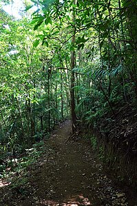 Die Wanderwege beim Aguti Reserve