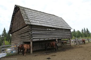 Scheune der Wells Gray Guest Ranch