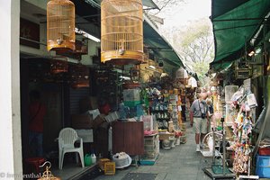 Vogelmarkt im Vogelgarten von Kowloon