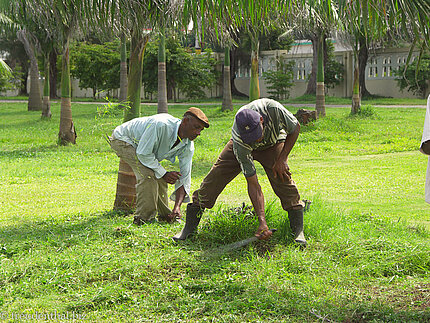 So wird hier der Rasen gemäht.