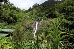Concord Wasserfall auf Grenada