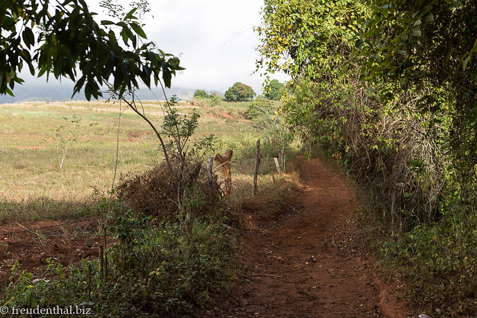 Reiterweg bei Viñales im Westen Kubas