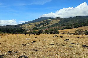 In der Cordillera de Guanacaste