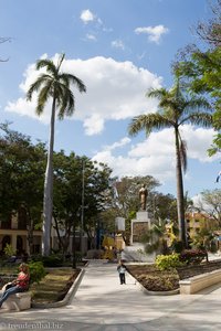Palmen auf dem Parque Cespedes in Bayamo