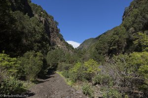 Abenteuer Barranco de la Madera