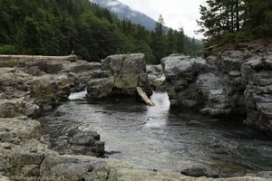 Walley Creek auf dem Weg zum Cathedral Grove 