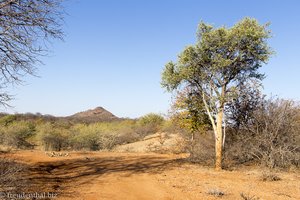 Umgebung der African Extreme Safaris bush lodge bei Musina