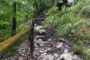 Wanderweg hinauf zum Pericnik Wasserfall