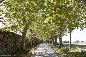 Allee führt zum Châteaus Lagarde