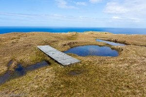 Moorlandschaft von Hermaness