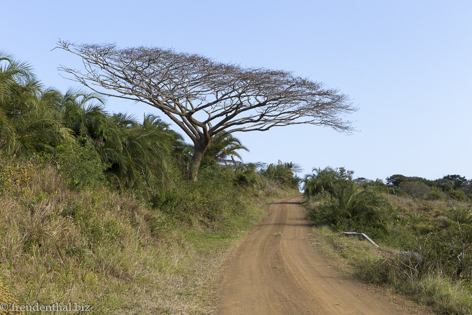 Piste im iSimangaliso Wetland Park von St. Lucia, Südafrika