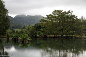Kleiner See im Le Val Nature Park